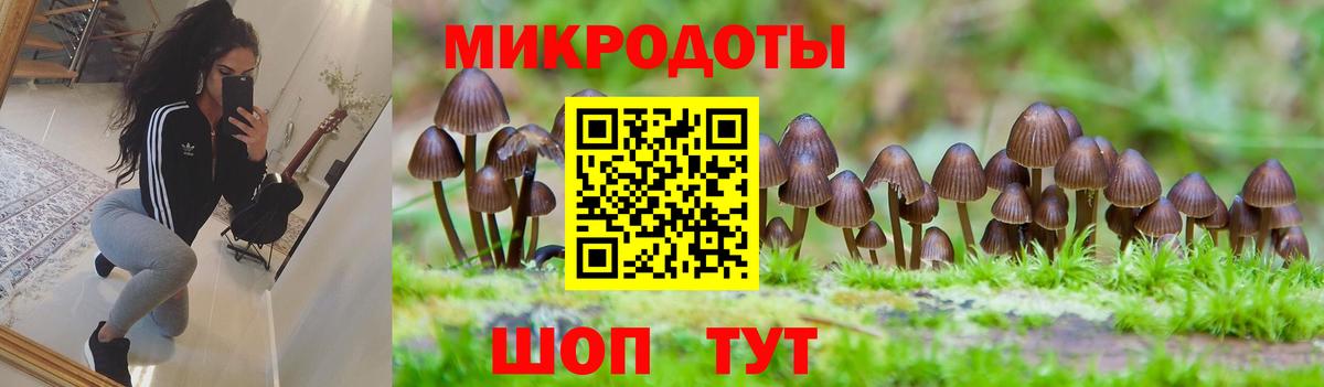 купить закладку  Псилоцибиновые грибы ЛСД  Новосибирск  Вход с VPN  Галлюциногенные грибы Psilocybe 